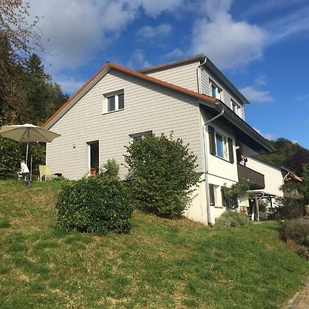 盖林根Alpenpanorama Am Hochrhein别墅 外观 照片