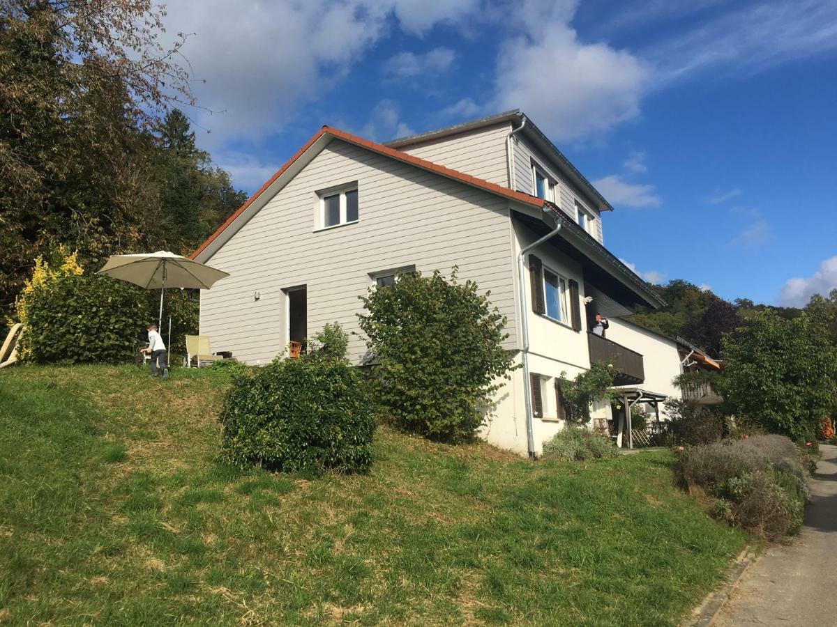 盖林根Alpenpanorama Am Hochrhein别墅 外观 照片