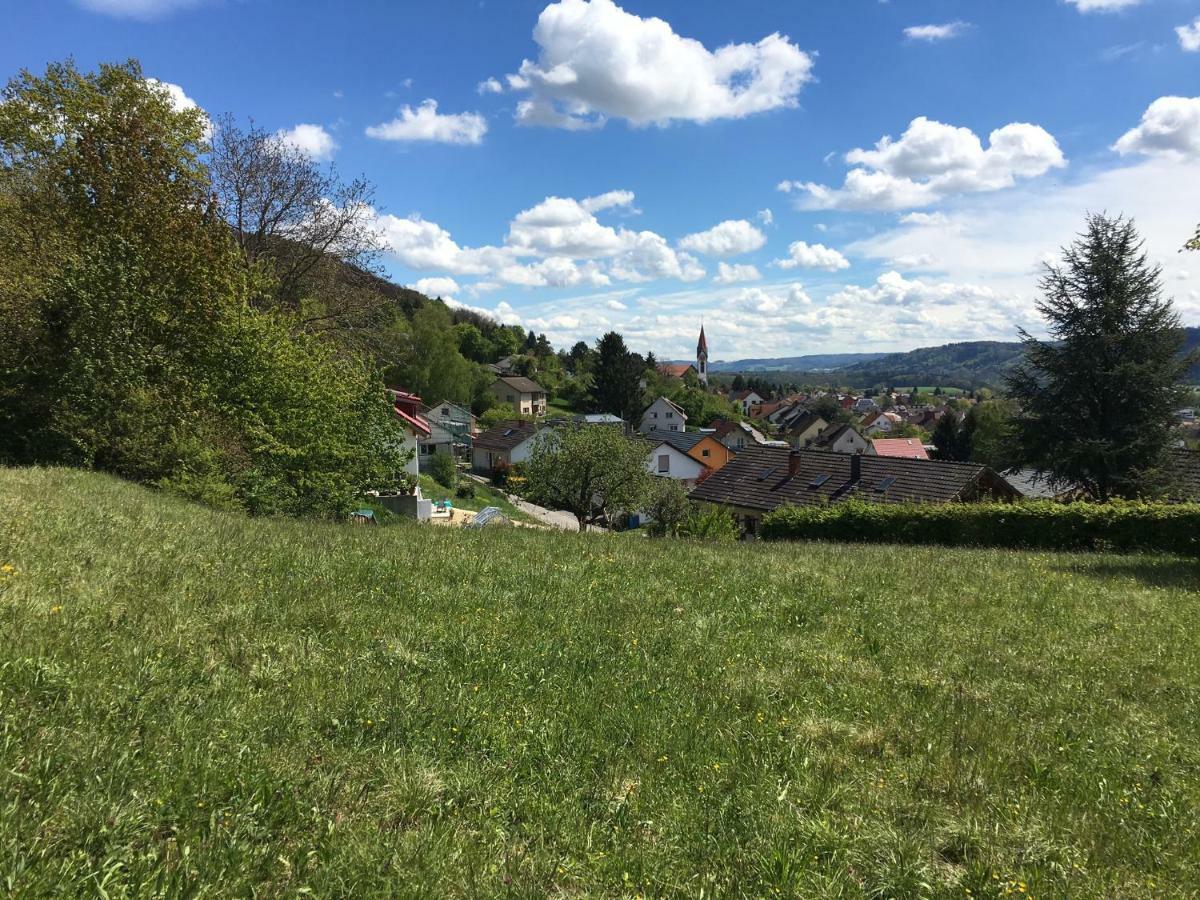盖林根Alpenpanorama Am Hochrhein别墅 外观 照片