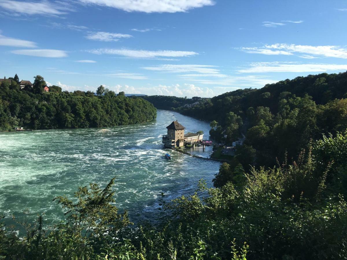 盖林根Alpenpanorama Am Hochrhein别墅 外观 照片