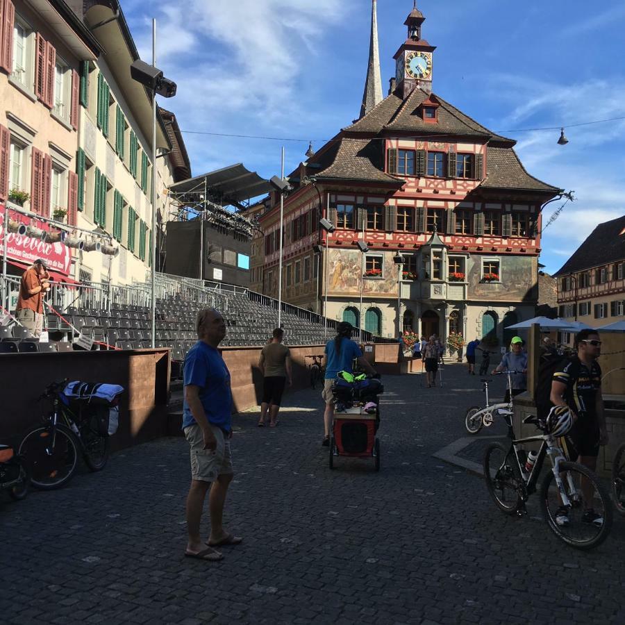 盖林根Alpenpanorama Am Hochrhein别墅 外观 照片