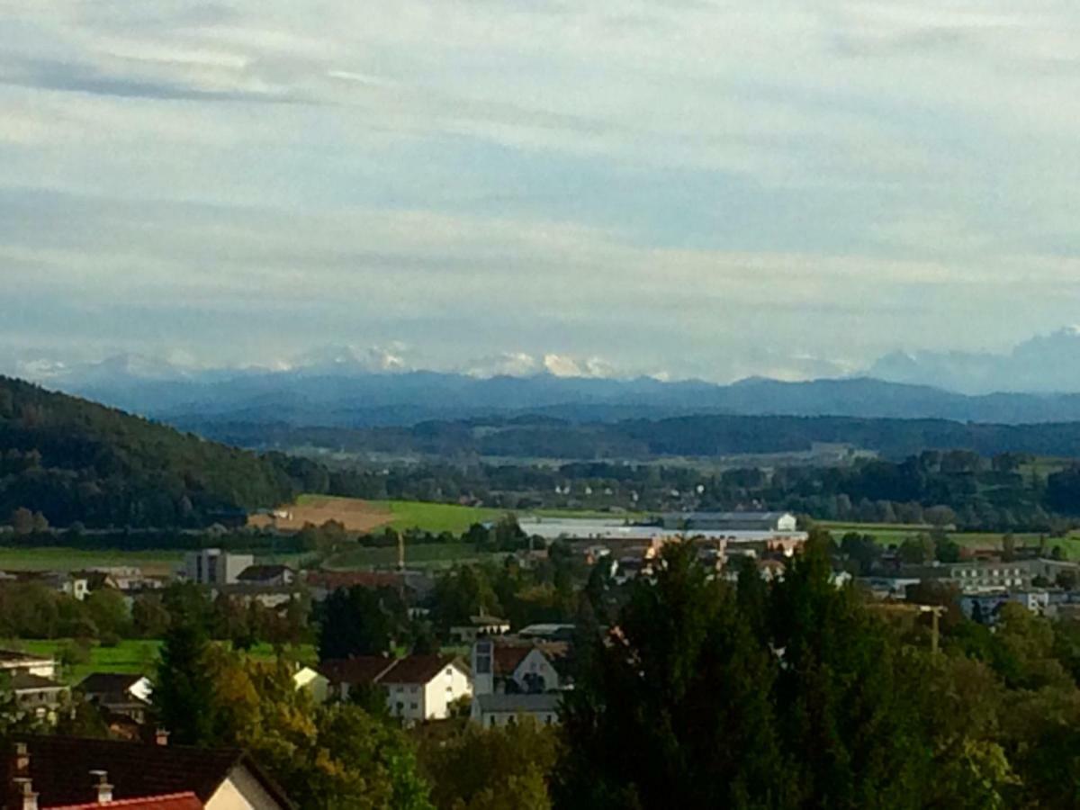 盖林根Alpenpanorama Am Hochrhein别墅 外观 照片